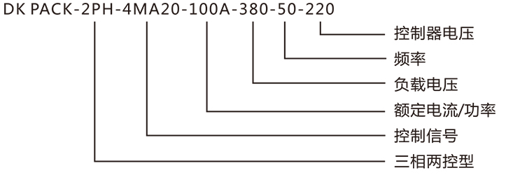 DK-PACK数字控制器42451-2.jpg